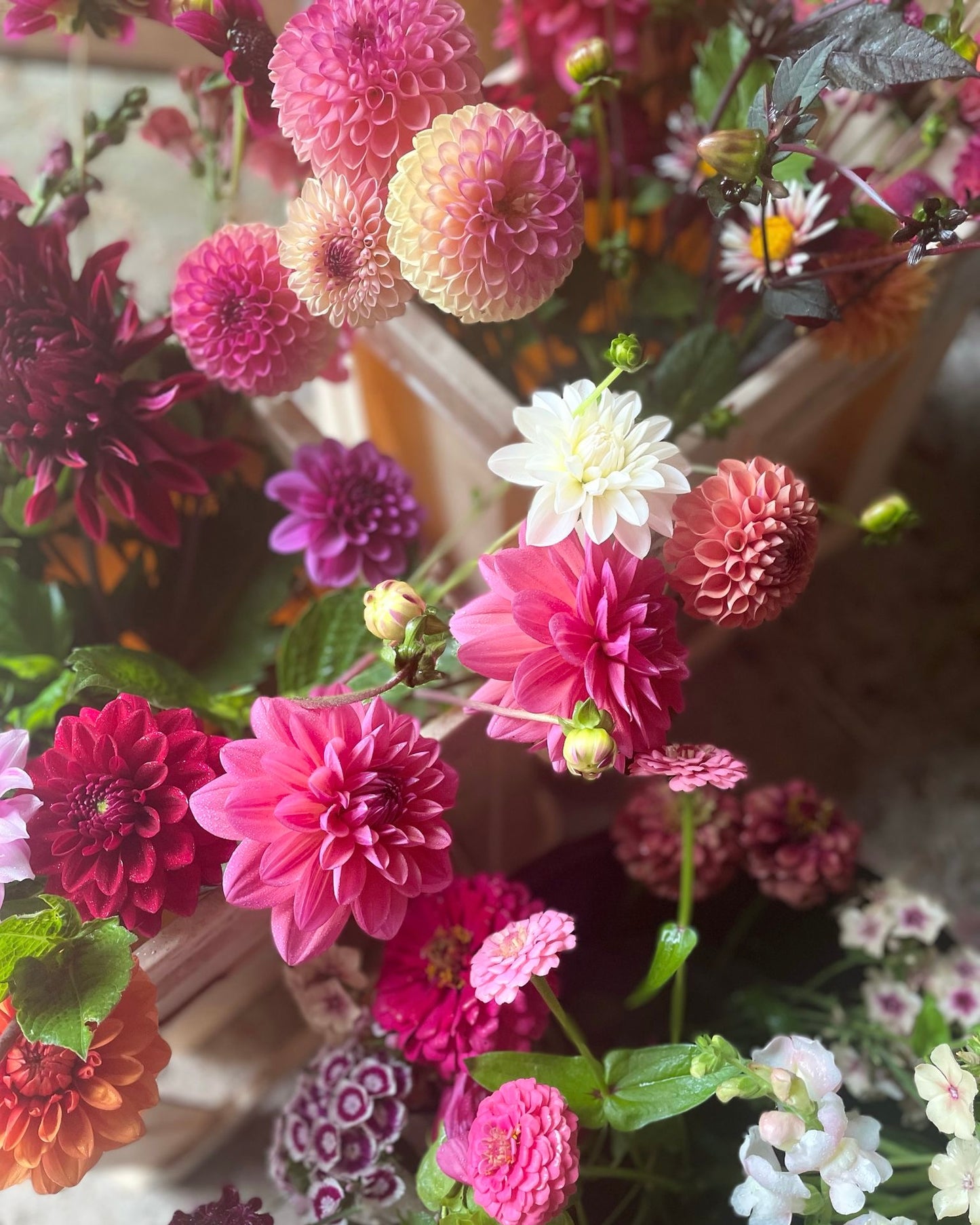 Farm Stand Bunch