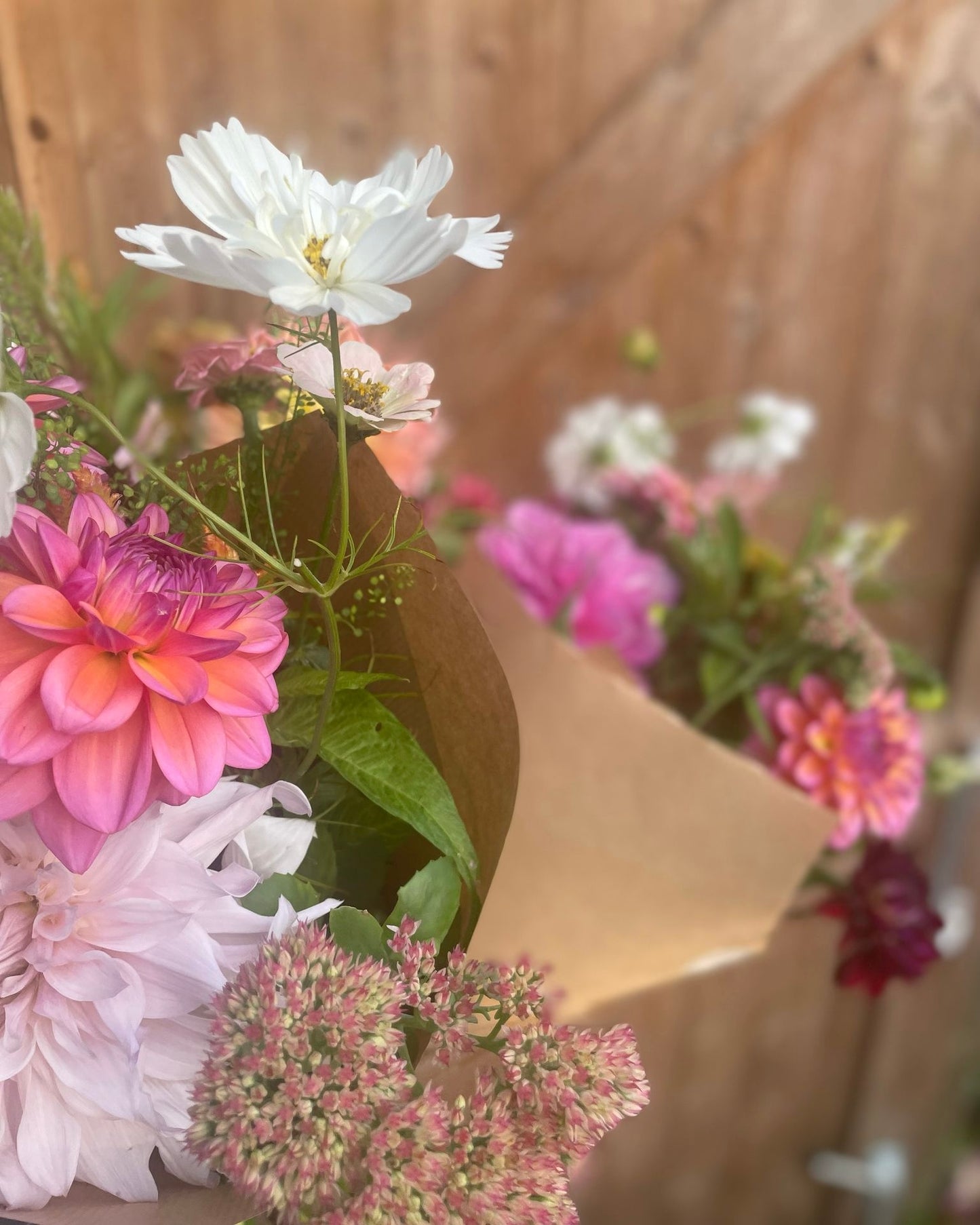 Farm Stand Bunch