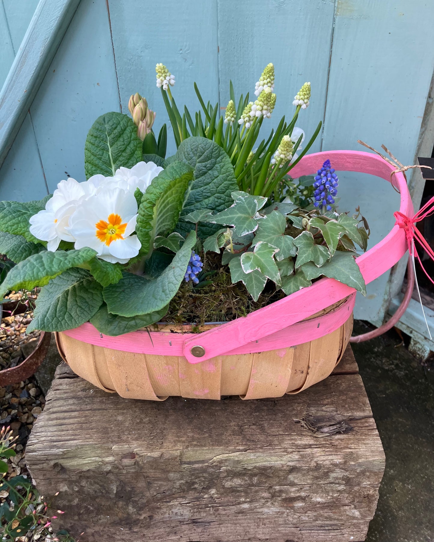 Planted Basket