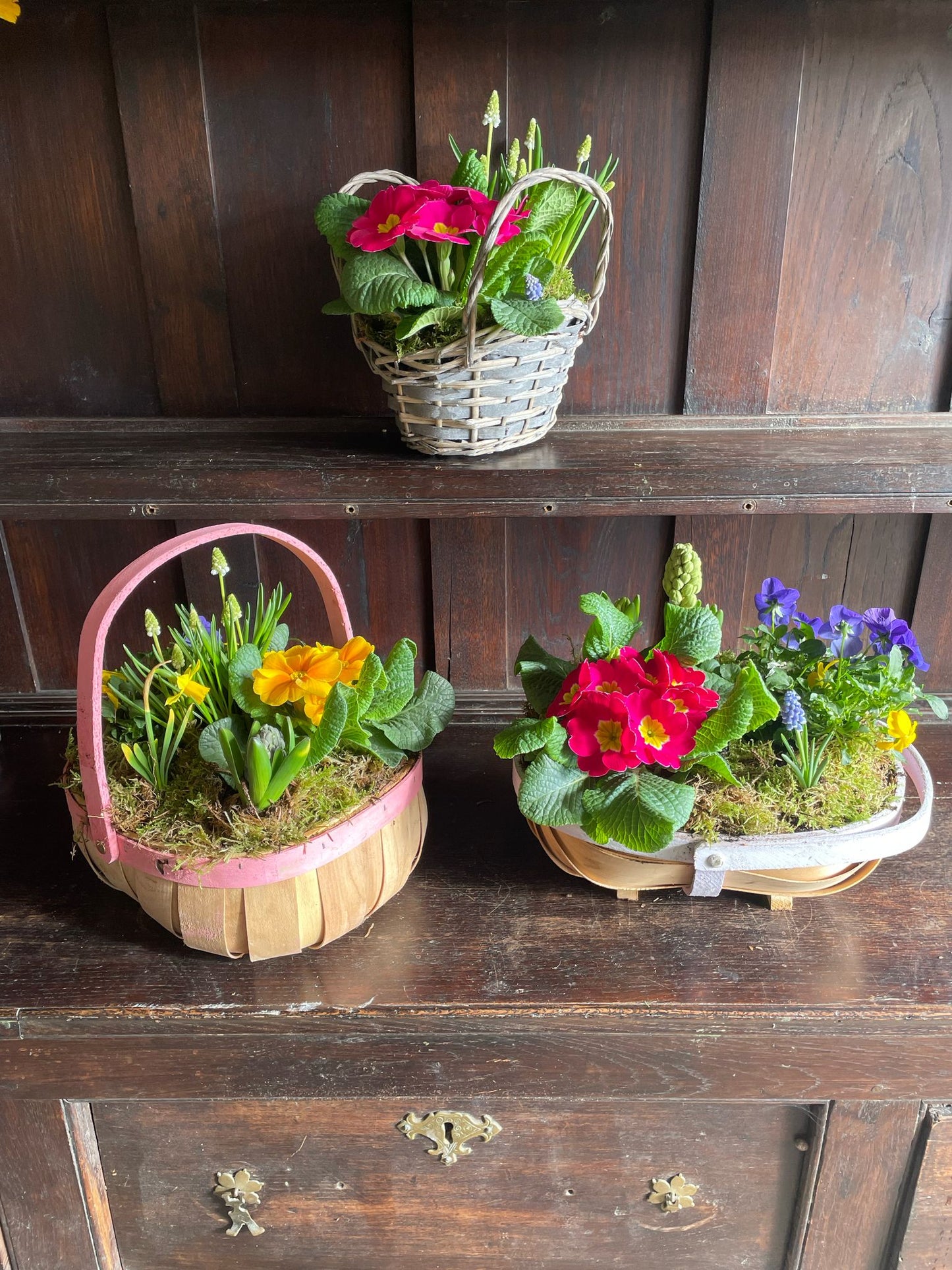 Planted Basket