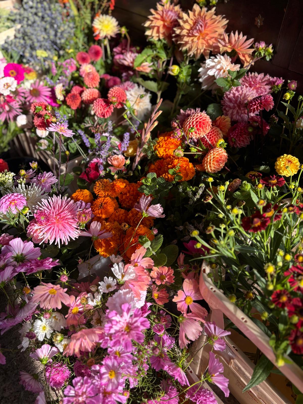 A Moon of Blooms - A month of weekly beautiful bouquets - (4 bouquets) delivered