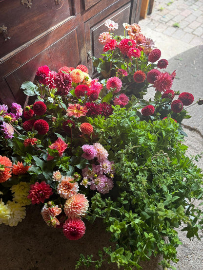 A Moon of Blooms - A month of weekly beautiful bouquets - (4 bouquets) delivered