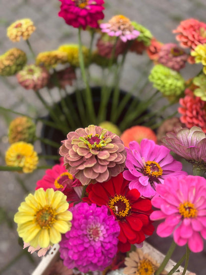 A Moon of Blooms - A month of weekly beautiful bouquets - (4 bouquets) delivered