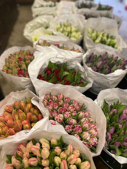 Pure Luxury - A beautiful bouquet to surprise and delight