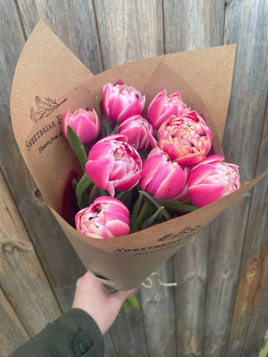 Simply Tulips