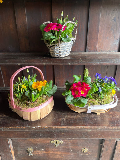 Planted Basket