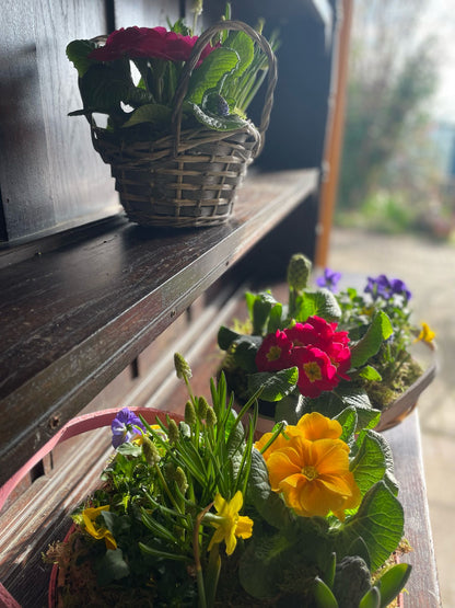 Planted Basket