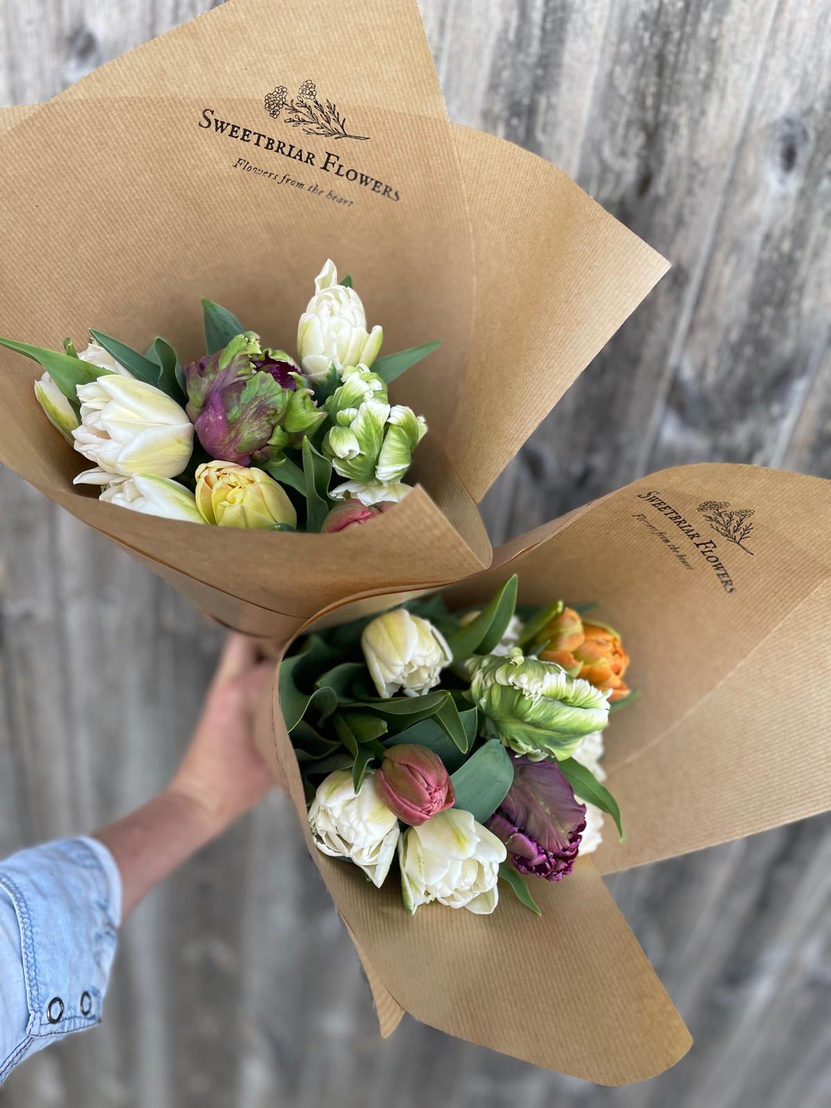 Simply Tulips