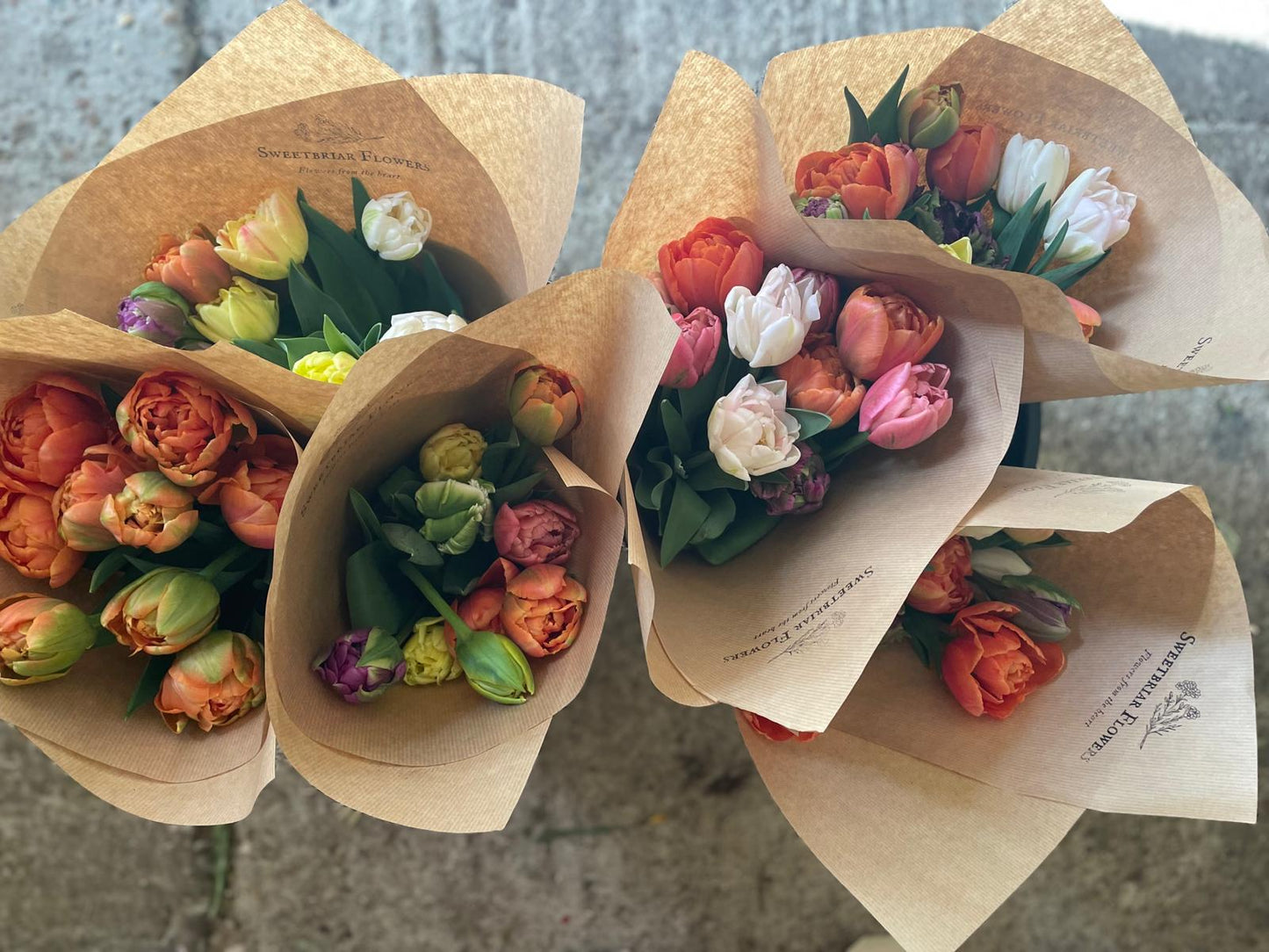 Simply Tulips