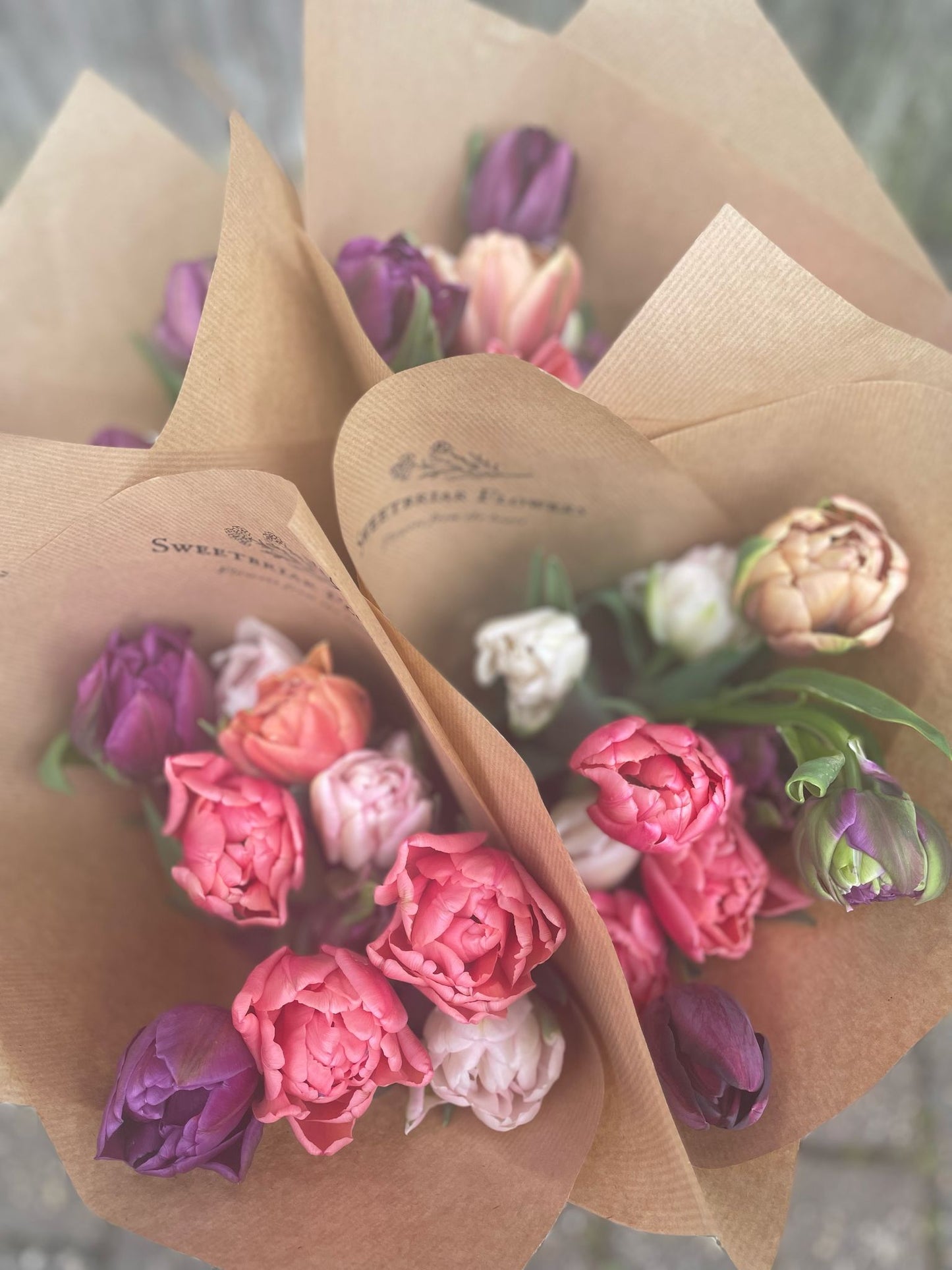 Simply Tulips