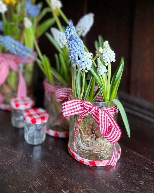 Living Bulb Joy Jars
